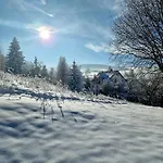 Ctyrlistek Daire